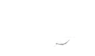 ASWAD