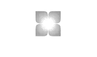 Satya-enterprises"