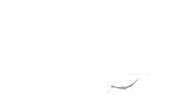 Aswad Group