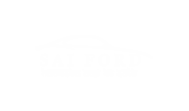 Sai Ford